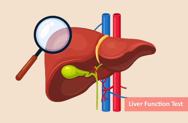 Liver Function Tests in Dubai UAE
